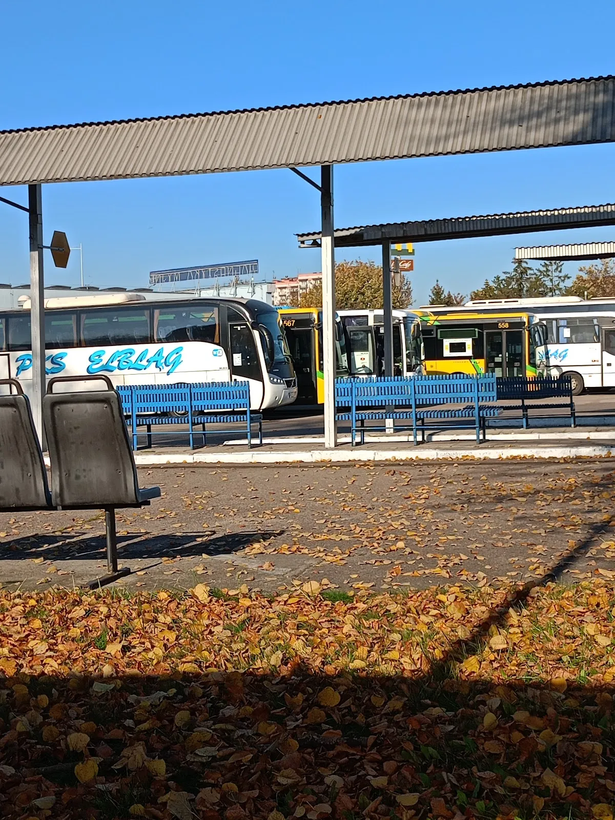 Autokar i flota firmy Dworzec PKS Elbląg