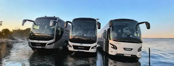 BUZZbus | Autokary na wynajem