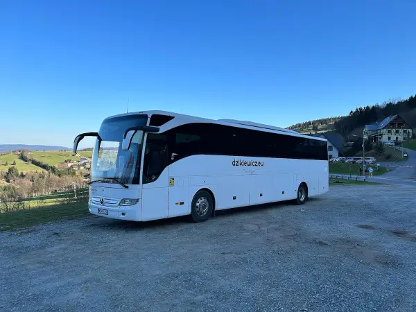 Dzikiewicz Zygmunt. Usługi transportowe