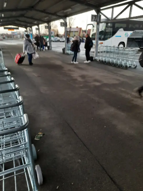 Autokar i flota firmy Opole Sindbad Port